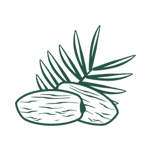 DRIED FRUITS & DATES